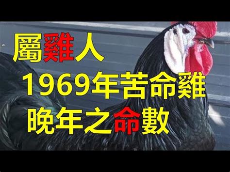 1969年屬雞運勢|【1969生肖】屬雞人2023運勢全攻略！1969年54歲生肖雞每月運。